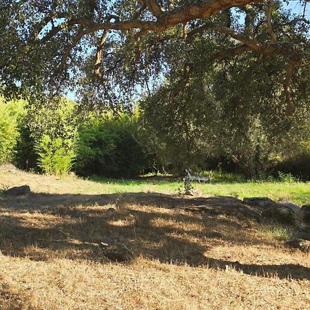 Quinta Da Utopia Каштелу де Виде Екстериор снимка