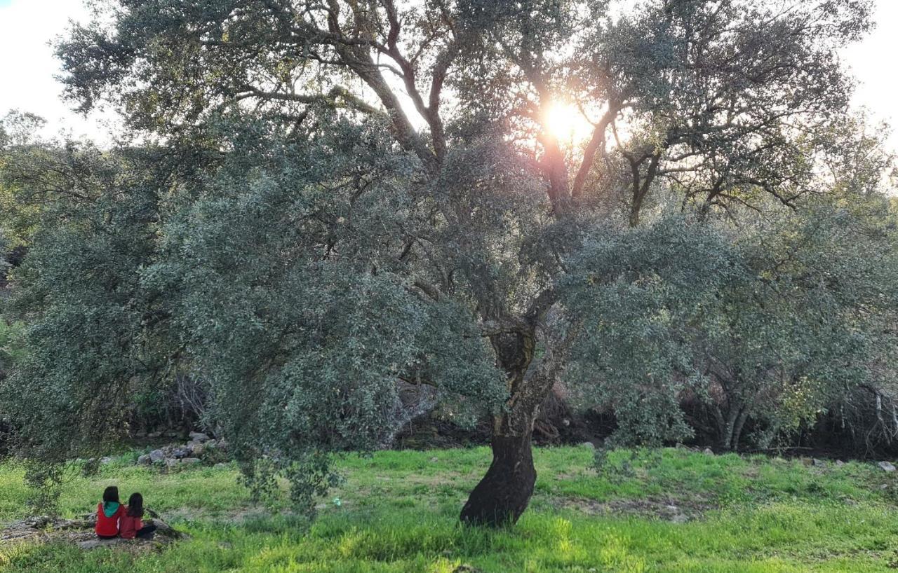 Quinta Da Utopia Каштелу де Виде Екстериор снимка