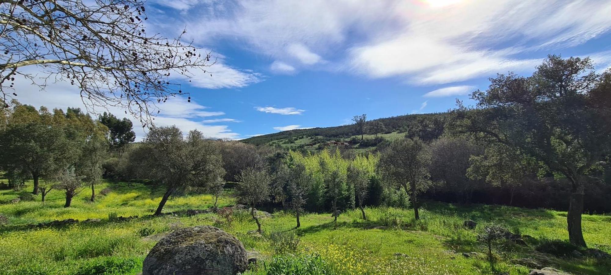 Quinta Da Utopia Каштелу де Виде Екстериор снимка