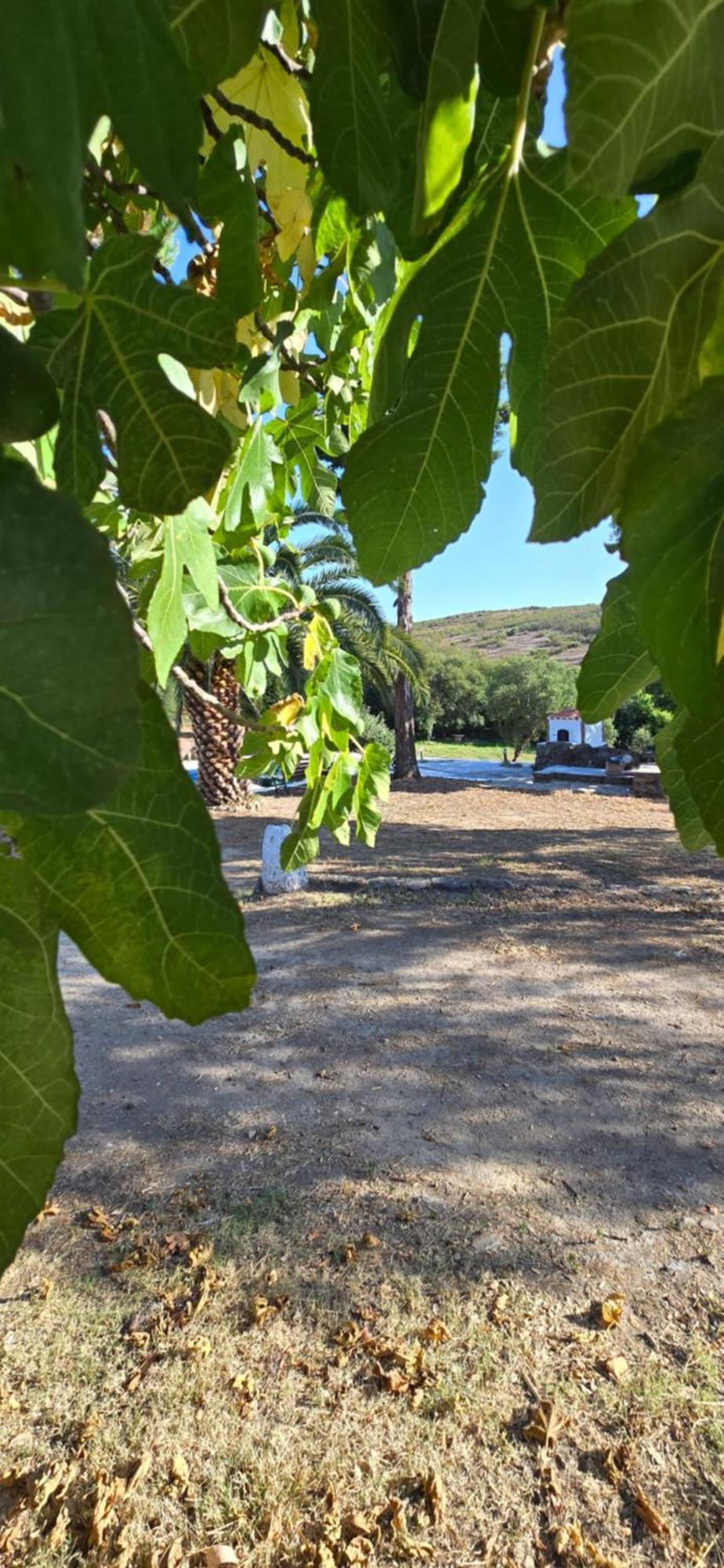 Quinta Da Utopia Каштелу де Виде Екстериор снимка